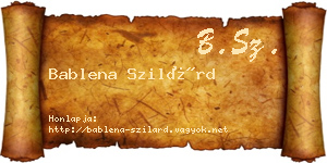 Bablena Szilárd névjegykártya